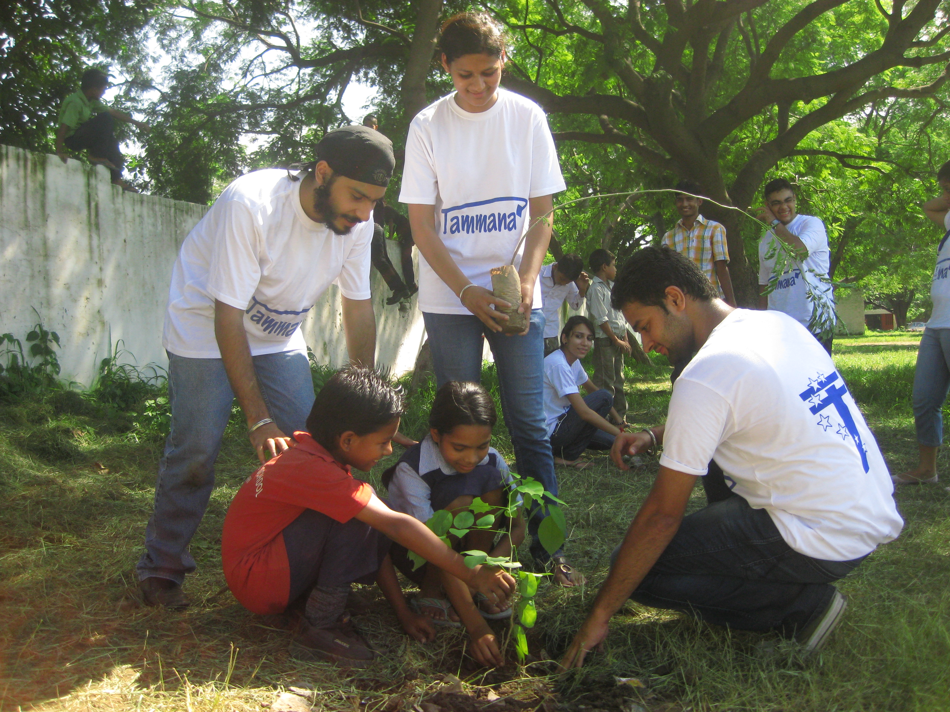 Tree Planatation at Govt School